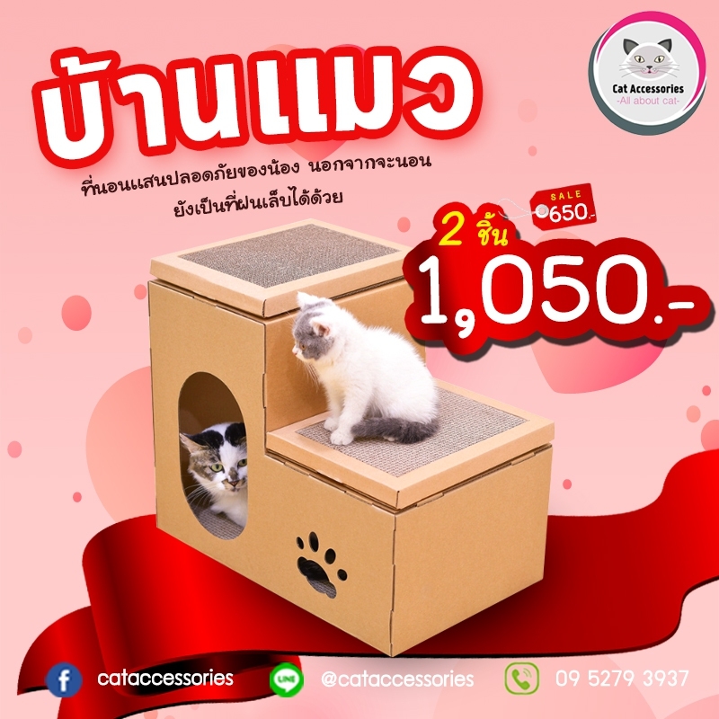 บ้านแมว