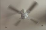 Ceiling Fan Rotation
