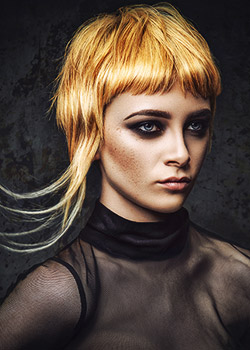 Prodotti Parrucchieri by Colin McAndrew - Medusa