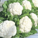 Cauliflower